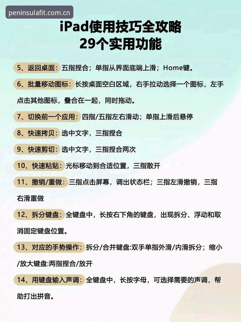 半岛体育苹果版体验全面解析：从安装到使用的详细指南