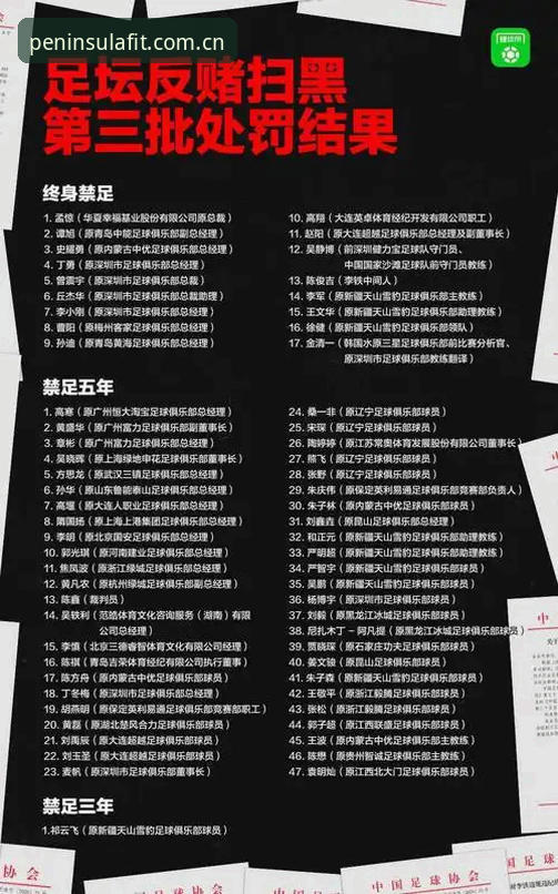 资深用户亲历：中国足协第三批禁足名单深度解析与观赛心得